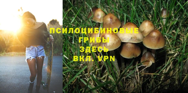 амф Балахна